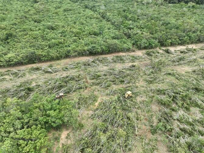 Com o uso de drones, os agentes ambientais localizaram máquinas derrubando árvores com correntão  - Foto por: Sema-MT